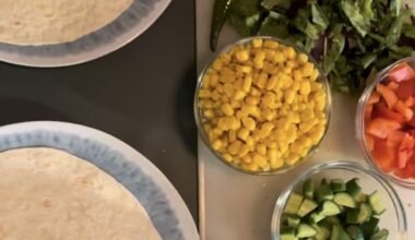 Veggie loaded homemade mexican wraps