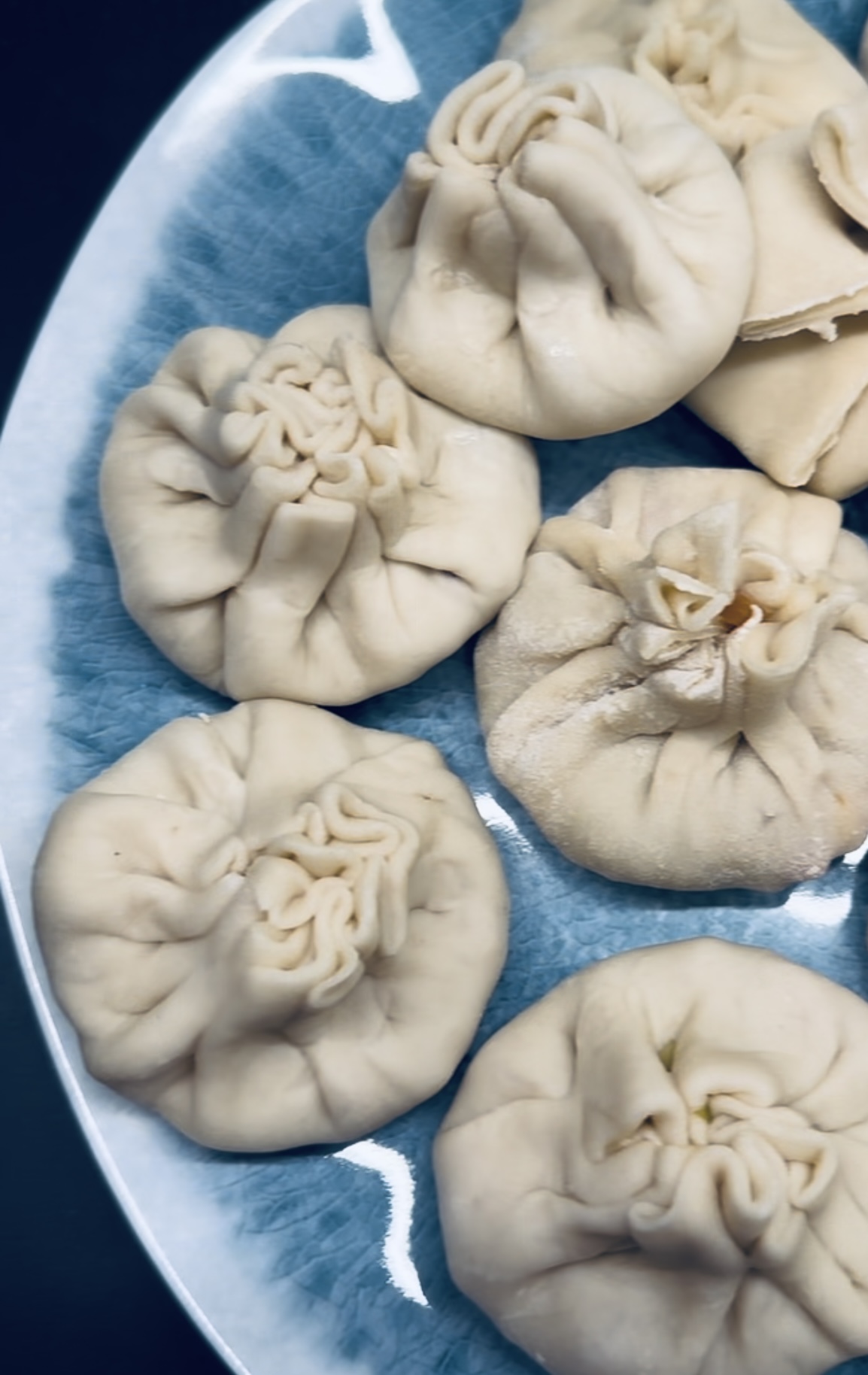 Vegetarian homemade momos